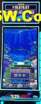 Crash Games Statistics S29 Bet